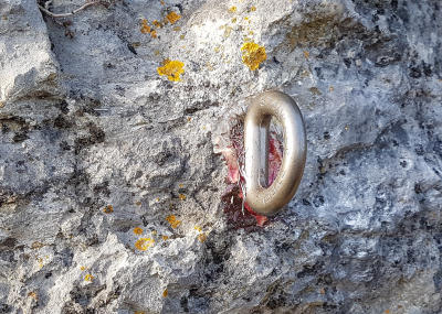 Installation Sicherungspunkte