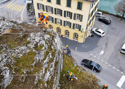 Sträucher schneiden in einer Felswand unterhalb der reformierten Kirche Aarburg, Auflage 2017
