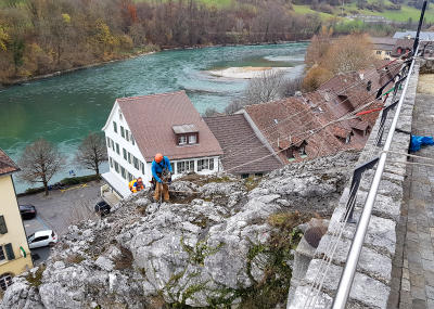 Sträucher schneiden in einer Felswand unterhalb der reformierten Kirche Aarburg, Auflage 2017