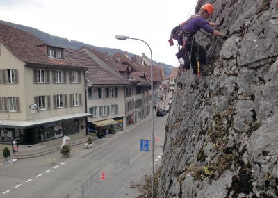 Sträucher schneiden und Moos entfernen am Kirchenfels Aarburg