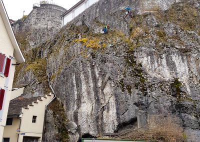 Sträucher schneiden in einer Felswand unterhalb der reformierten Kirche Aarburg, Auflage 2017