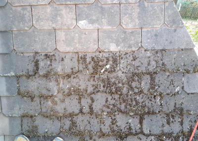 Dachreinigung Altstadthaus in Oerlikon