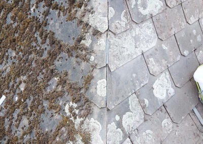 Dachreinigung Altstadthaus in Oerlikon